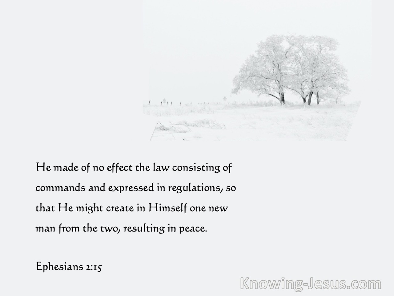 Ephesians 2:15 He Made The Law Of No Effect (white)